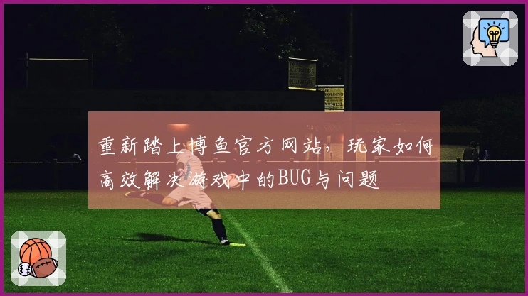 重新踏上博鱼官方网站，玩家如何高效解决游戏中的BUG与问题